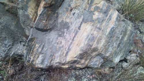 Гигантские зелёные валуны для ландшафтного дизайна весом более 5 тонн купить в Хабаровском крае