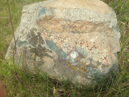 Гигантские зелёные валуны для ландшафтного дизайна весом более 5 тонн купить в Хабаровском крае